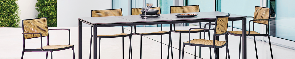 DINING DINING